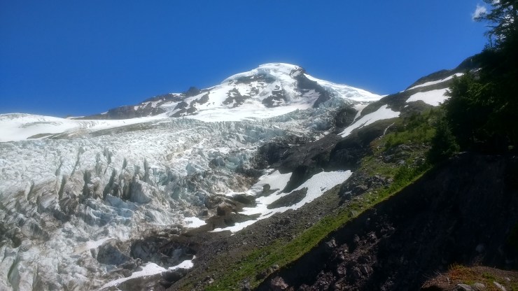 2017-07-23 13.39.38.jpg